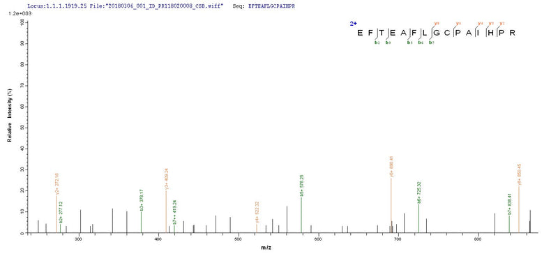 Based on the SEQUEST from database of Yeast host and target protein, the LC-MS/MS Analysis result of this product could indicate that this peptide derived from Yeast-expressed Homo sapiens (Human) PGLYRP2.Recombinant Human N-Acetylmuramoyl-L-Alanine Amidase (PGLYRP2) Protein (His)