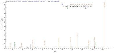 Based on the SEQUEST from database of Yeast host and target protein, the LC-MS/MS Analysis result of this product could indicate that this peptide derived from Yeast-expressed Homo sapiens (Human) PGLYRP2.Recombinant Human N-Acetylmuramoyl-L-Alanine Amidase (PGLYRP2) Protein (His)