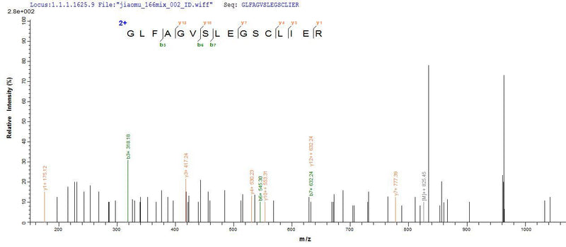 Based on the SEQUEST from database of Yeast host and target protein, the LC-MS/MS Analysis result of this product could indicate that this peptide derived from Yeast-expressed Homo sapiens (Human) SH3YL1.Recombinant Human Sh3 Domain-Containing Ysc84-Like Protein 1 (SH3YL1) Protein (His&Myc)