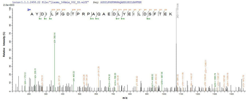 Based on the SEQUEST from database of Yeast host and target protein, the LC-MS/MS Analysis result of this product could indicate that this peptide derived from Yeast-expressed Homo sapiens (Human) SH3YL1.Recombinant Human Sh3 Domain-Containing Ysc84-Like Protein 1 (SH3YL1) Protein (His&Myc)