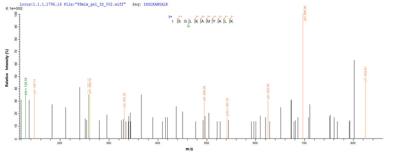 Based on the SEQUEST from database of Yeast host and target protein, the LC-MS/MS Analysis result of this product could indicate that this peptide derived from Yeast-expressed Staphylococcus aureus (strain N315) scn.Recombinant Staphylococcus Aureus Staphylococcal Complement Inhibitor (SCN) Protein (His)