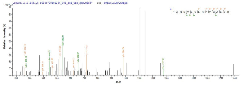 Based on the SEQUEST from database of Yeast host and target protein, the LC-MS/MS Analysis result of this product could indicate that this peptide derived from Yeast-expressed Hepatitis B virus genotype D subtype ayw (isolate Japan/JYW796/1988) (HBV-D) X.Recombinant Hepatitis B Virus Genotype D Subtype Ayw Protein X (X) Protein (His)