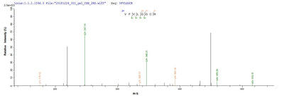 Based on the SEQUEST from database of Yeast host and target protein, the LC-MS/MS Analysis result of this product could indicate that this peptide derived from Yeast-expressed Hepatitis B virus genotype D subtype ayw (isolate Japan/JYW796/1988) (HBV-D) X.Recombinant Hepatitis B Virus Genotype D Subtype Ayw Protein X (X) Protein (His)