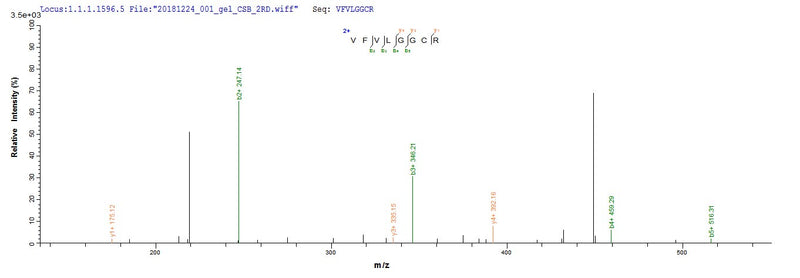 Based on the SEQUEST from database of Yeast host and target protein, the LC-MS/MS Analysis result of this product could indicate that this peptide derived from Yeast-expressed Hepatitis B virus genotype D subtype ayw (isolate Japan/JYW796/1988) (HBV-D) X.Recombinant Hepatitis B Virus Genotype D Subtype Ayw Protein X (X) Protein (His)