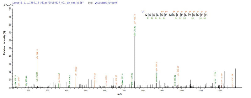 Based on the SEQUEST from database of Yeast host and target protein, the LC-MS/MS Analysis result of this product could indicate that this peptide derived from Yeast-expressed Cricetulus griseus (Chinese hamster) (Cricetulus barabensis griseus) PRDX1.Recombinant Chinese Hamster Peroxiredoxin-1 (PRDX1) Protein (His)