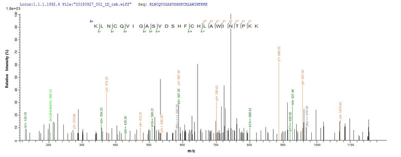Based on the SEQUEST from database of Yeast host and target protein, the LC-MS/MS Analysis result of this product could indicate that this peptide derived from Yeast-expressed Cricetulus griseus (Chinese hamster) (Cricetulus barabensis griseus) PRDX1.Recombinant Chinese Hamster Peroxiredoxin-1 (PRDX1) Protein (His)