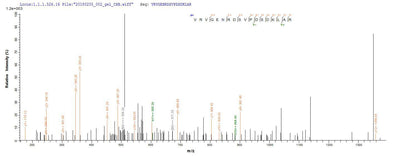 Based on the SEQUEST from database of Yeast host and target protein, the LC-MS/MS Analysis result of this product could indicate that this peptide derived from Yeast-expressed Arabidopsis thaliana (Mouse-ear cress) UGT89C1.Recombinant Arabidopsis Thaliana Udp-Glycosyltransferase 89C1 (UGT89C1) Protein (His)