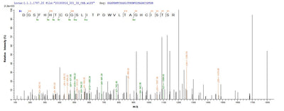 Based on the SEQUEST from database of Yeast host and target protein, the LC-MS/MS Analysis result of this product could indicate that this peptide derived from Yeast-expressed Mus musculus (Mouse) Cela3b.Recombinant Mouse Chymotrypsin-Like Elastase Family Member 3B (CELA3B) Protein (His&Myc)