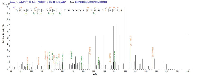 Based on the SEQUEST from database of Yeast host and target protein, the LC-MS/MS Analysis result of this product could indicate that this peptide derived from Yeast-expressed Mus musculus (Mouse) Cela3b.Recombinant Mouse Chymotrypsin-Like Elastase Family Member 3B (CELA3B) Protein (His&Myc)