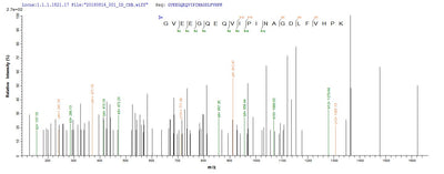 Based on the SEQUEST from database of Yeast host and target protein, the LC-MS/MS Analysis result of this product could indicate that this peptide derived from Yeast-expressed Mus musculus (Mouse) Cela3b.Recombinant Mouse Chymotrypsin-Like Elastase Family Member 3B (CELA3B) Protein (His&Myc)