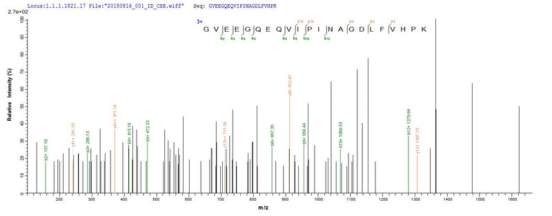 Based on the SEQUEST from database of Yeast host and target protein, the LC-MS/MS Analysis result of this product could indicate that this peptide derived from Yeast-expressed Mus musculus (Mouse) Cela3b.Recombinant Mouse Chymotrypsin-Like Elastase Family Member 3B (CELA3B) Protein (His&Myc)