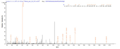 Based on the SEQUEST from database of Yeast host and target protein, the LC-MS/MS Analysis result of this product could indicate that this peptide derived from Yeast-expressed Homo sapiens (Human) DLL3.