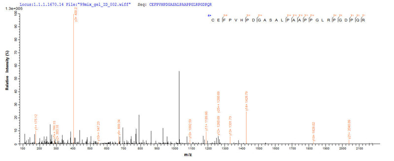 Based on the SEQUEST from database of Yeast host and target protein, the LC-MS/MS Analysis result of this product could indicate that this peptide derived from Yeast-expressed Homo sapiens (Human) DLL3.