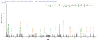 Based on the SEQUEST from database of Yeast host and target protein, the LC-MS/MS Analysis result of this product could indicate that this peptide derived from Yeast-expressed Homo sapiens (Human) DLL3.