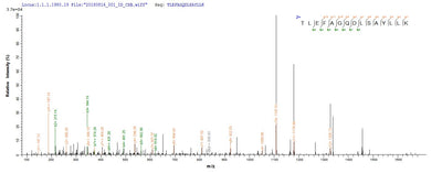 Based on the SEQUEST from database of Yeast host and target protein, the LC-MS/MS Analysis result of this product could indicate that this peptide derived from Yeast-expressed Homo sapiens (Human) ACTL8.Recombinant Human Actin-Like Protein 8 (ACTL8) Protein (His)