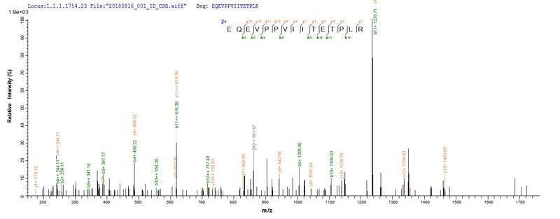 Based on the SEQUEST from database of Yeast host and target protein, the LC-MS/MS Analysis result of this product could indicate that this peptide derived from Yeast-expressed Homo sapiens (Human) ACTL8.Recombinant Human Actin-Like Protein 8 (ACTL8) Protein (His)