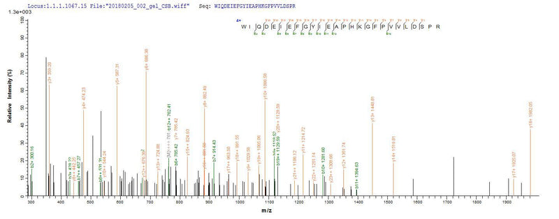 Based on the SEQUEST from database of Yeast host and target protein, the LC-MS/MS Analysis result of this product could indicate that this peptide derived from Yeast-expressed Homo sapiens (Human) PADI2.
