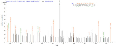 Based on the SEQUEST from database of Yeast host and target protein, the LC-MS/MS Analysis result of this product could indicate that this peptide derived from Yeast-expressed Hepatitis E virus genotype 3 (isolate Human/United States/US2) (HEV-3) ORF2.