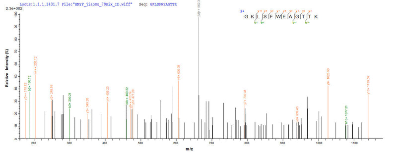 Based on the SEQUEST from database of Yeast host and target protein, the LC-MS/MS Analysis result of this product could indicate that this peptide derived from Yeast-expressed Hepatitis E virus genotype 3 (isolate Human/United States/US2) (HEV-3) ORF2.Recombinant Hepatitis E Virus Genotype 3 Capsid Protein (ORF2) Protein (His)
